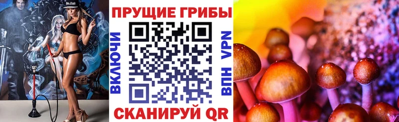 Галлюциногенные грибы MAGIC MUSHROOMS  Ленск 