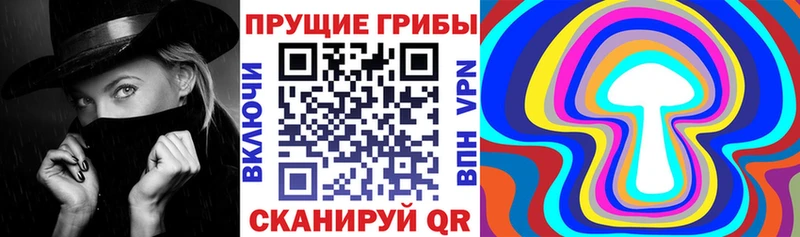 Галлюциногенные грибы Cubensis Ленск